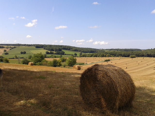 Quel plus bel environnement pour une balade...