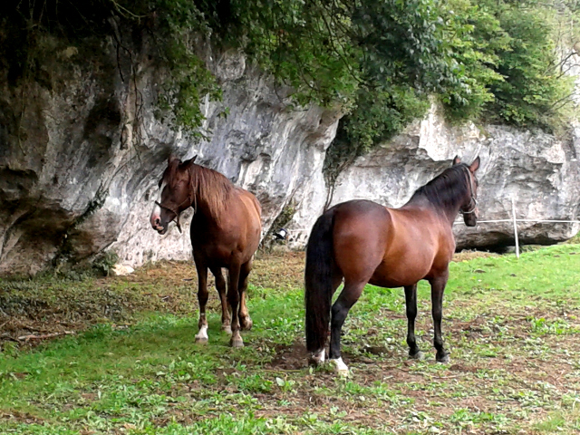 Petite pause le long du cteau